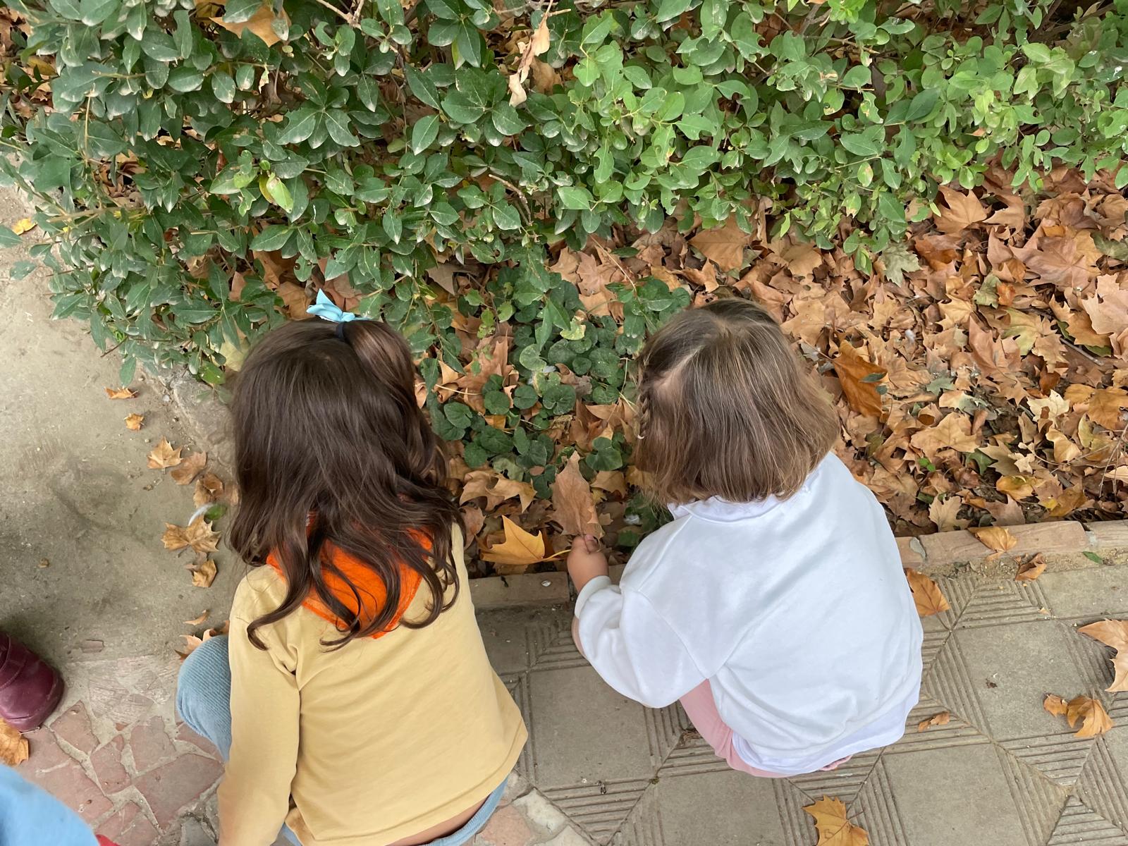 PHOTO-2024-10-27-07-58-12 6