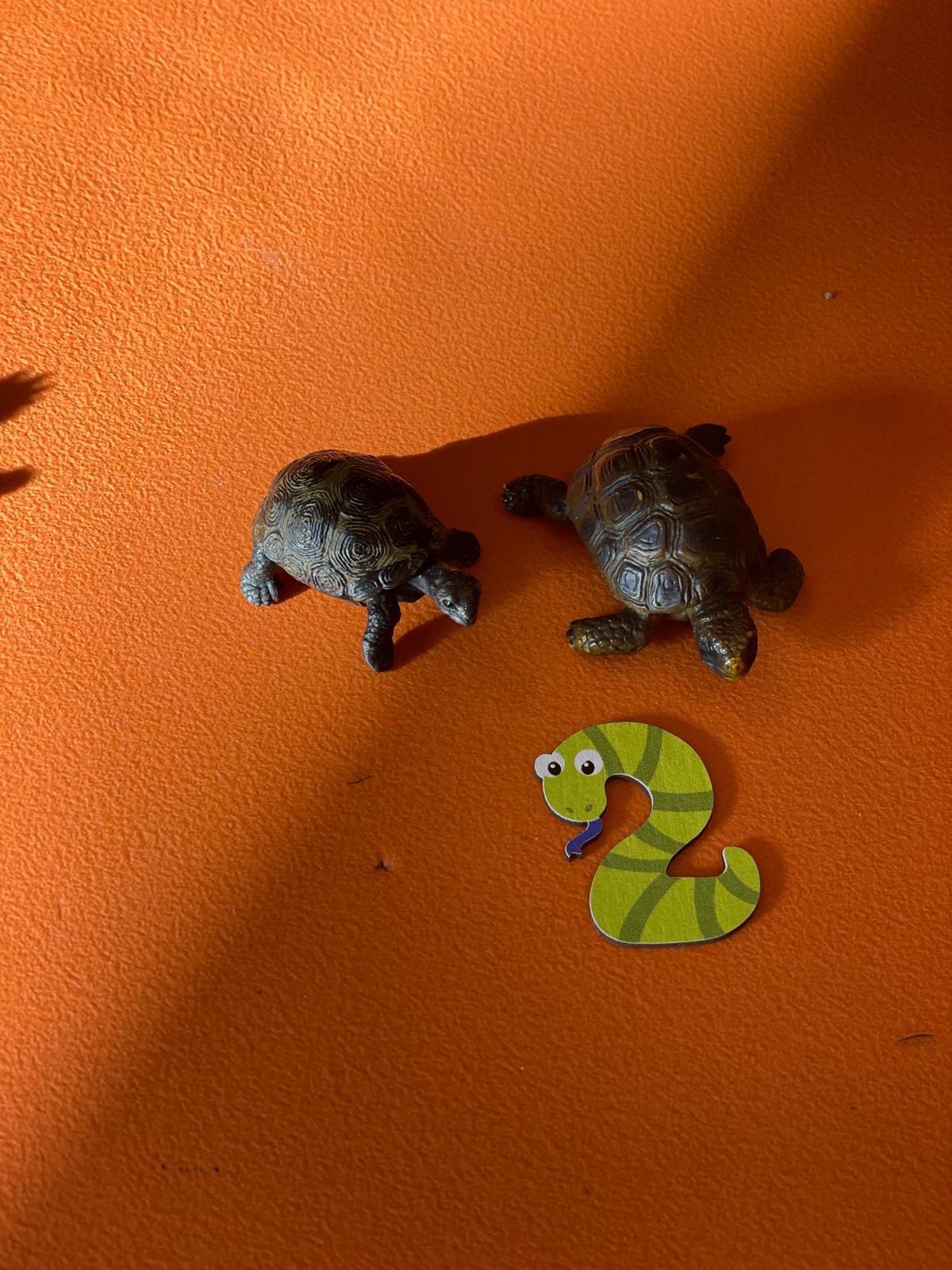 PHOTO-2024-11-04-19-11-20 11