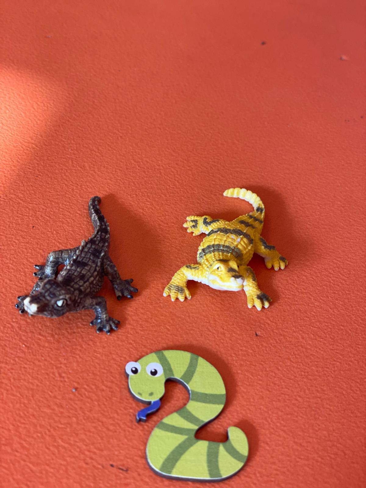 PHOTO-2024-11-04-19-11-20 12