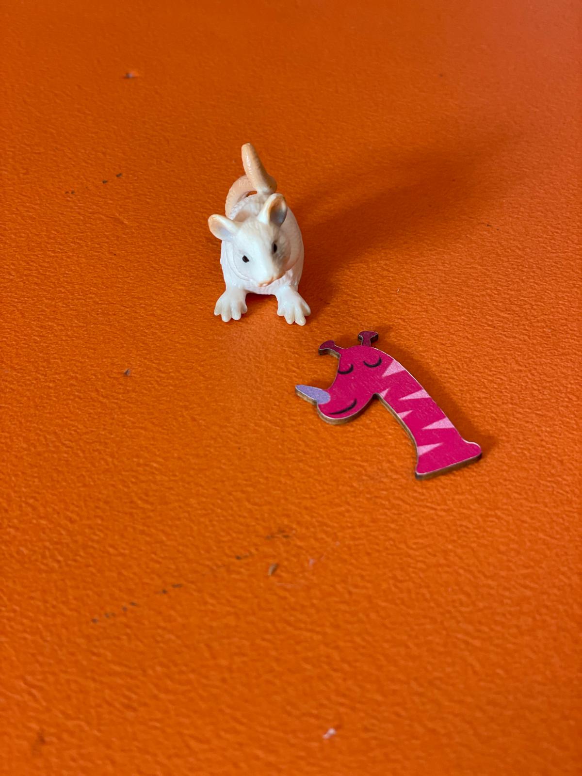 PHOTO-2024-11-04-19-11-20 13