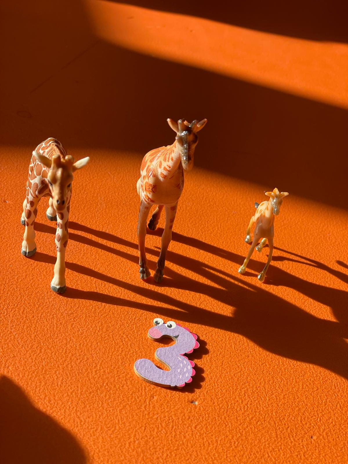 PHOTO-2024-11-04-19-11-20 3