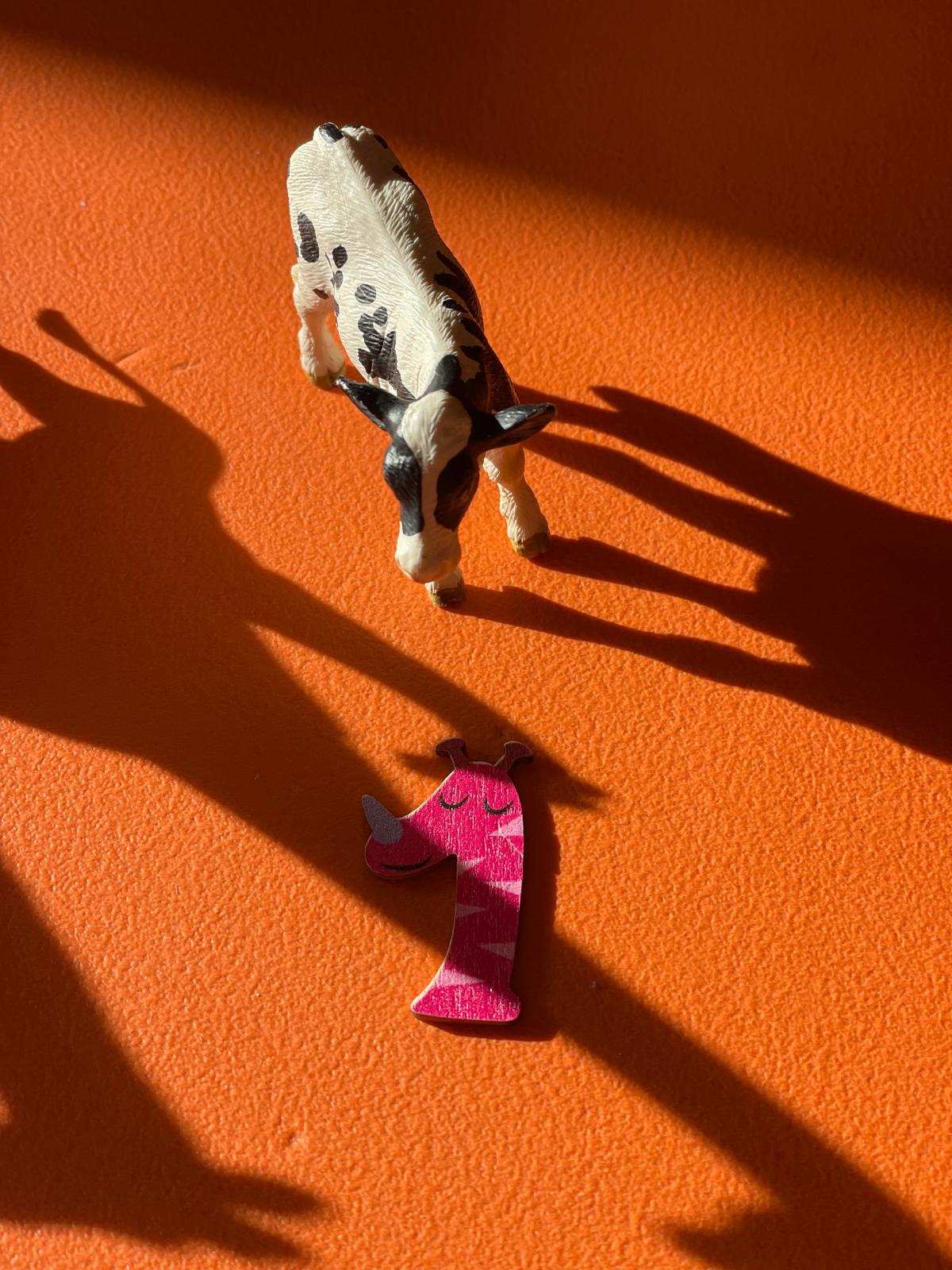 PHOTO-2024-11-04-19-11-20 4