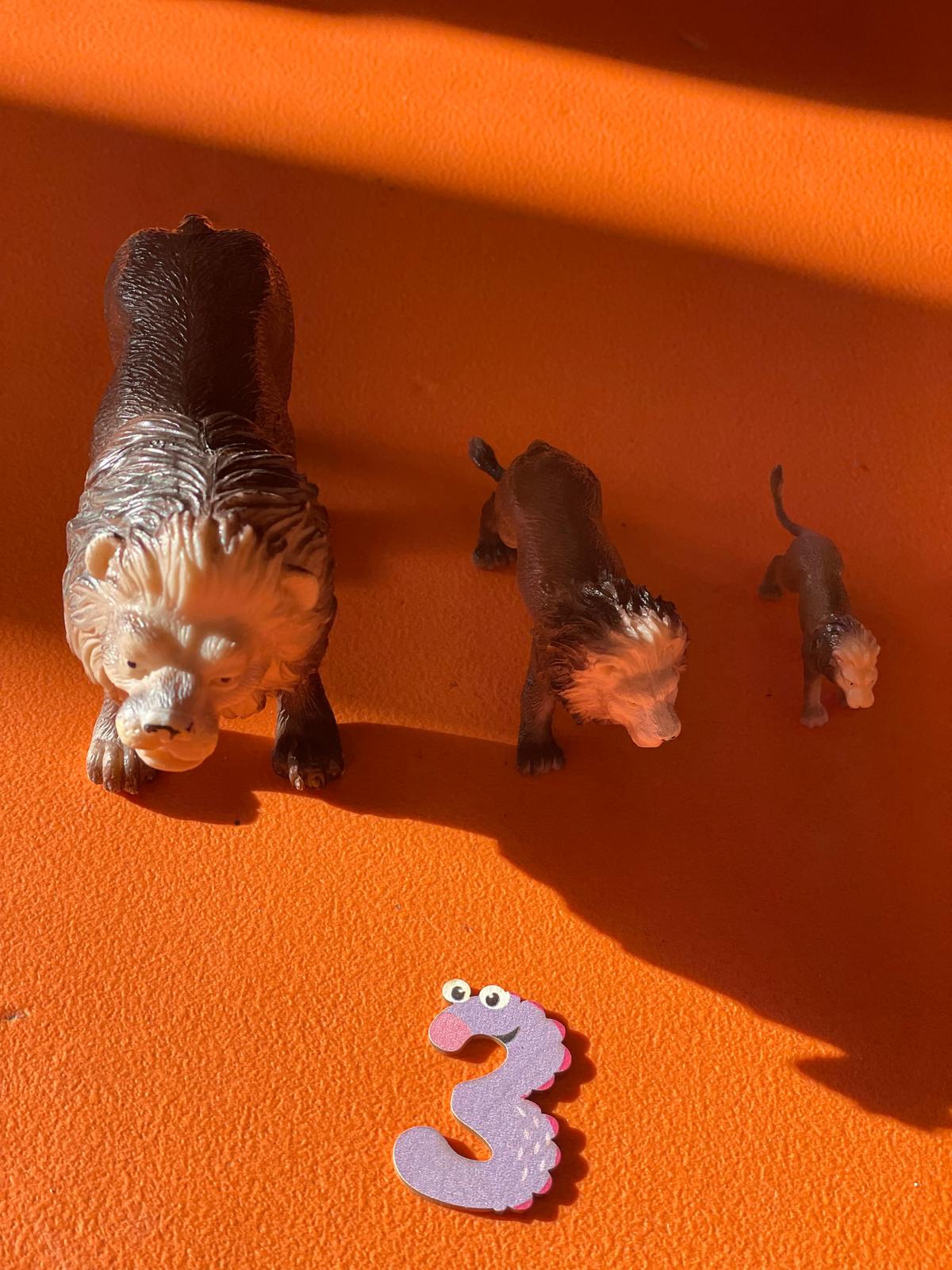 PHOTO-2024-11-04-19-11-20 5