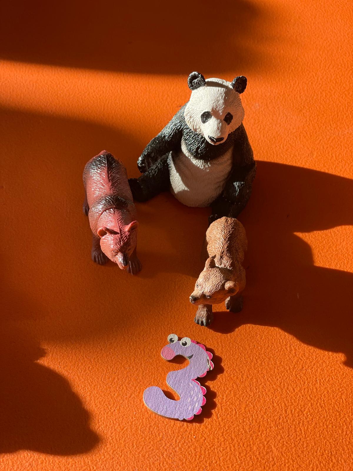 PHOTO-2024-11-04-19-11-20 6