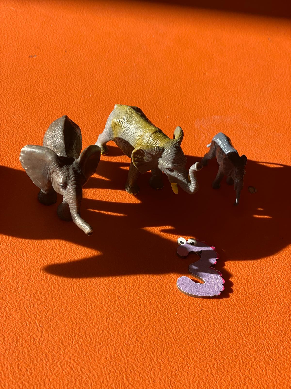 PHOTO-2024-11-04-19-11-20 9