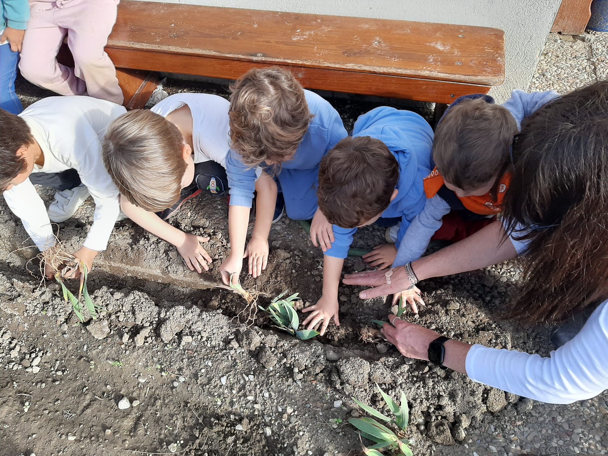 PHOTO-2024-11-15-15-51-57 2