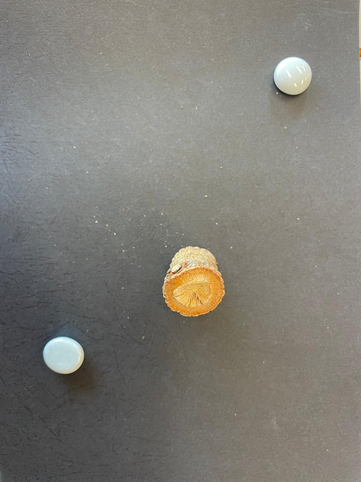 PHOTO-2024-11-15-19-40-49 12