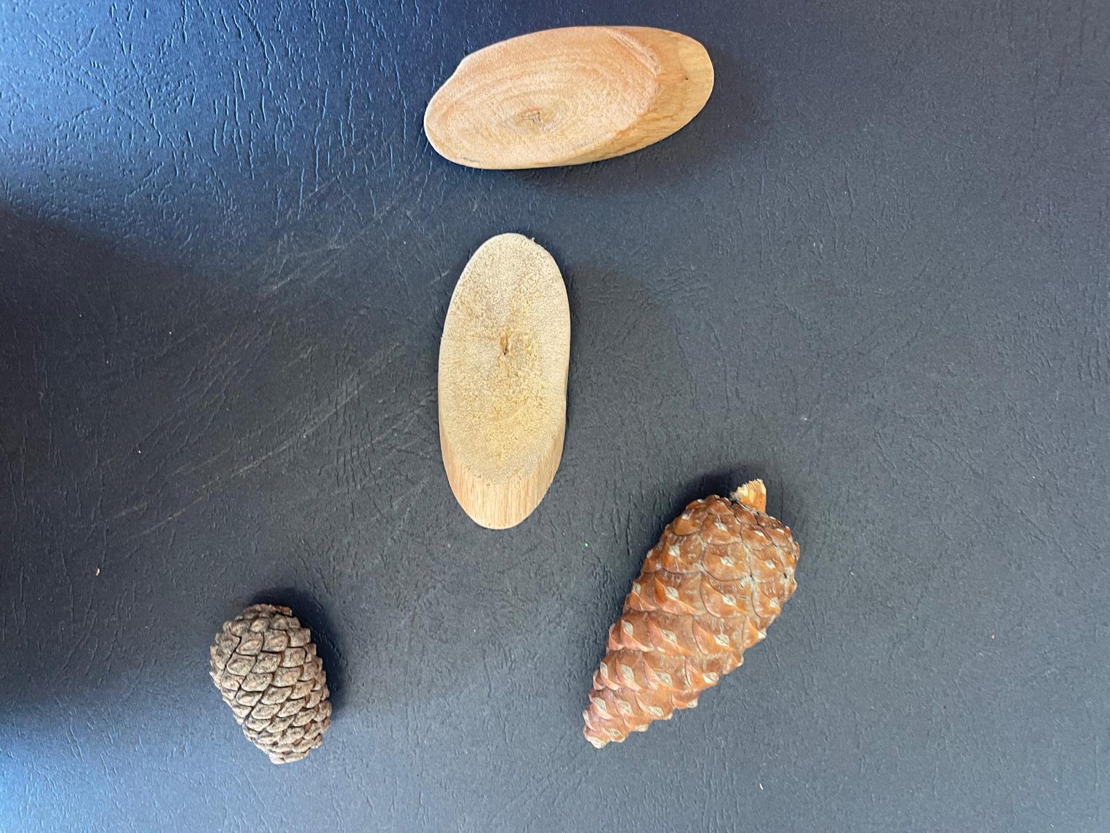 PHOTO-2024-11-15-19-40-49 15