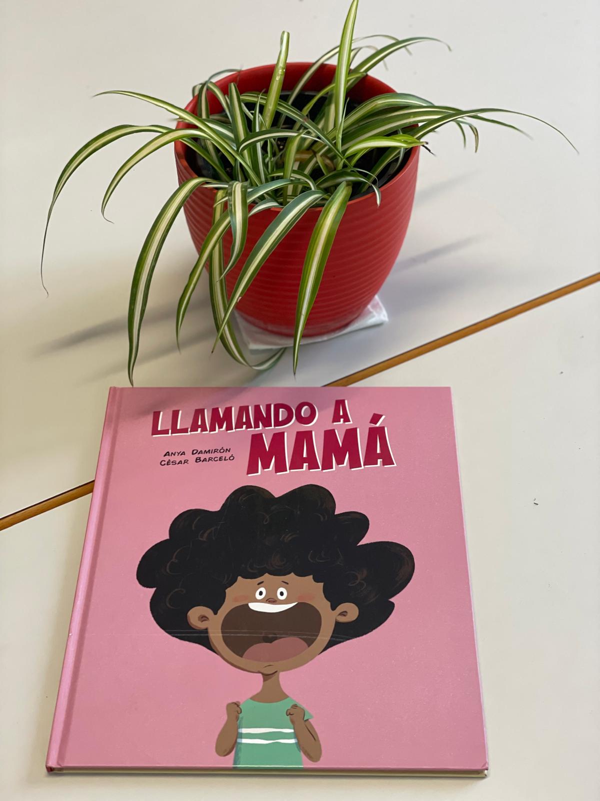 PHOTO-2024-11-20-15-26-55 2