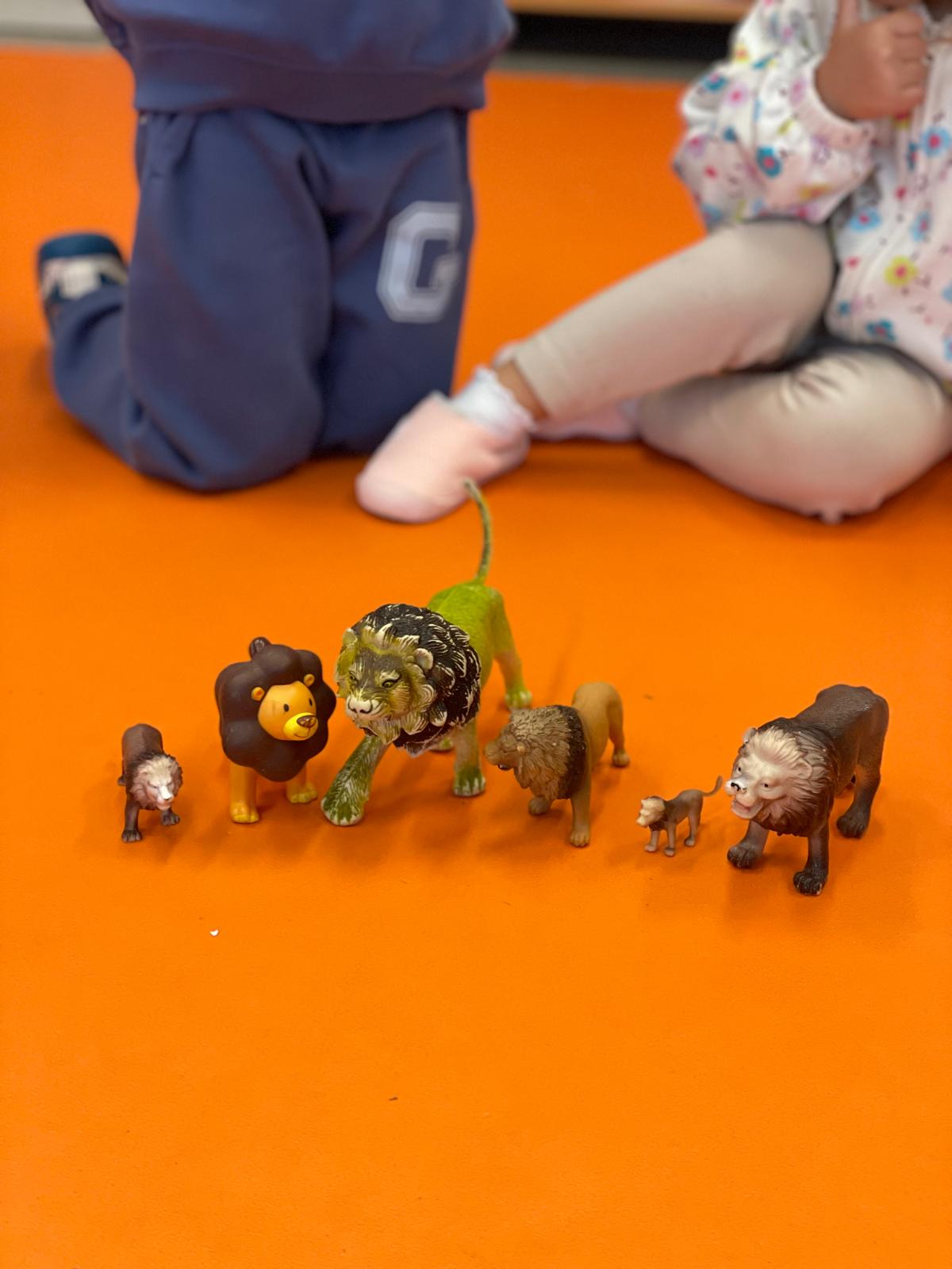 PHOTO-2024-11-25-11-33-50 3