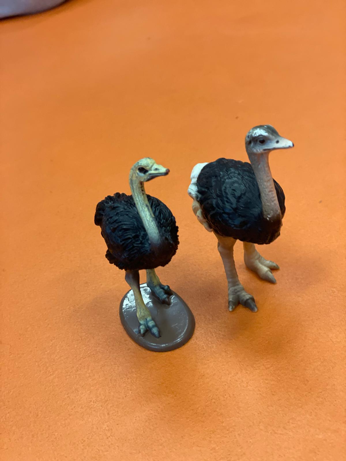 PHOTO-2024-11-25-11-33-50