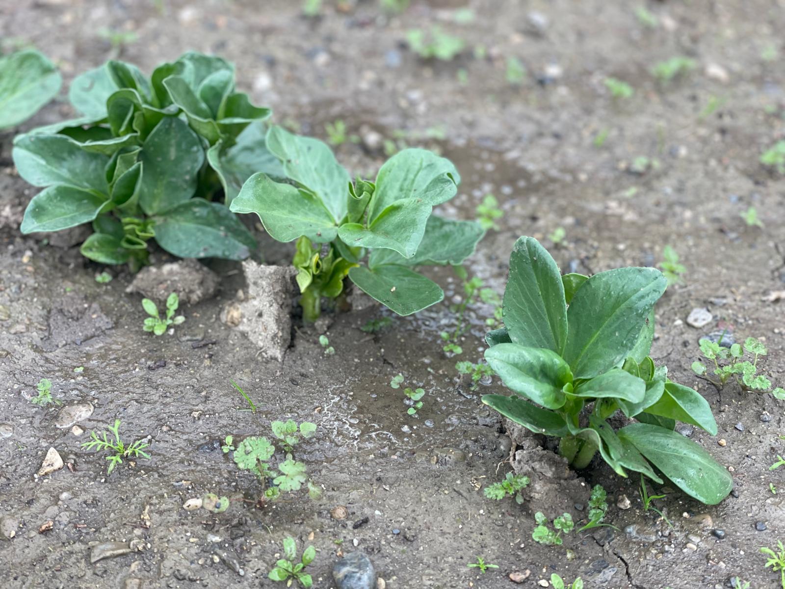 PHOTO-2024-11-25-13-55-57