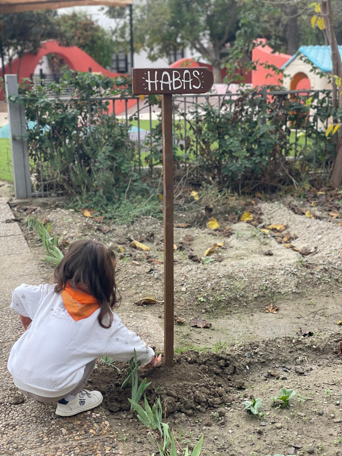 PHOTO-2024-11-25-13-55-57 2