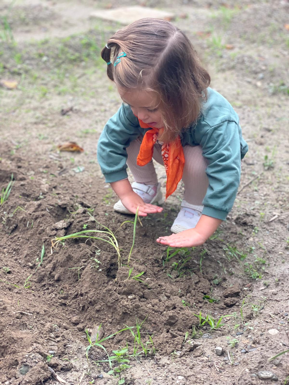 PHOTO-2024-11-27-14-08-09 10