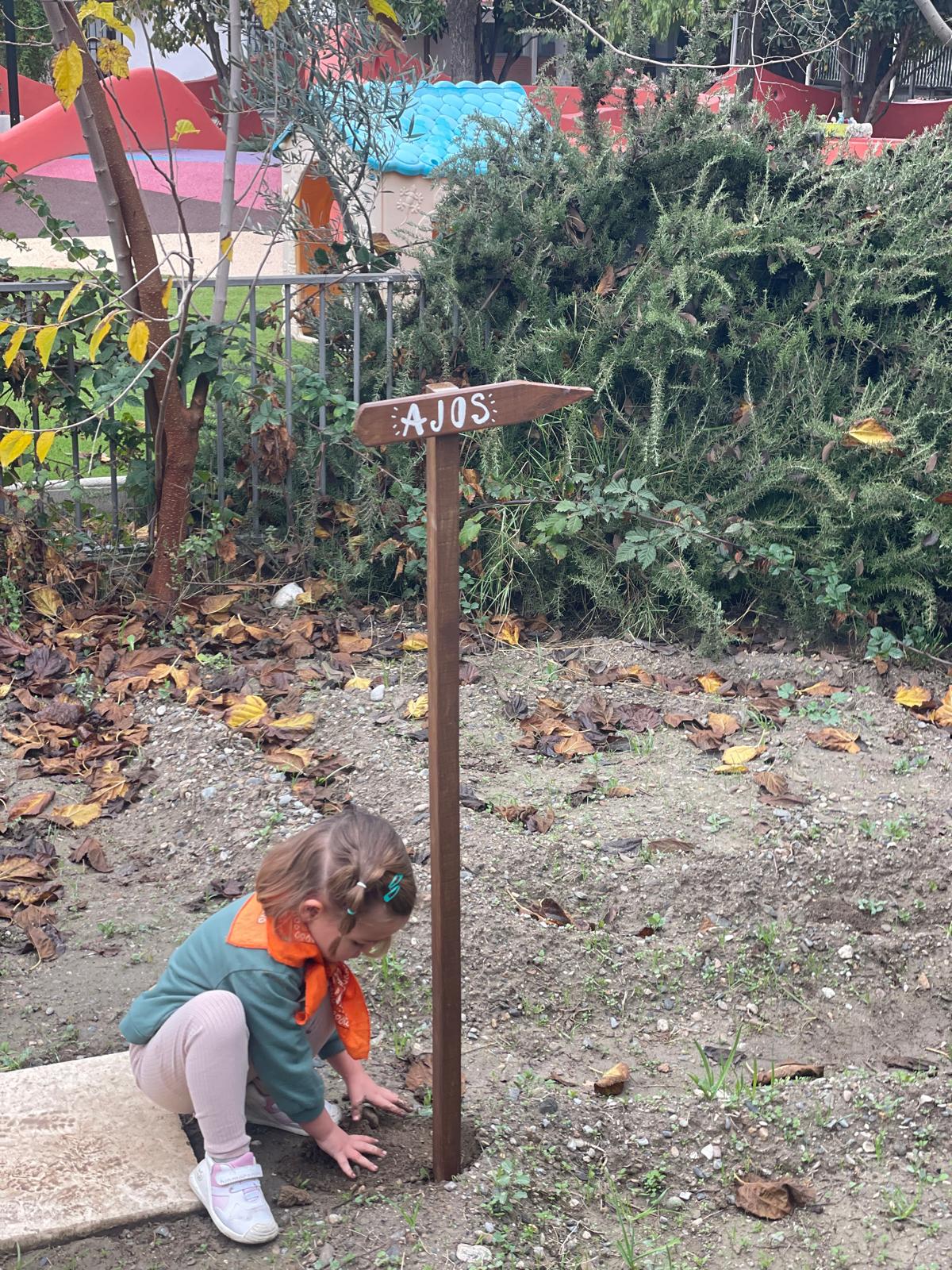 PHOTO-2024-11-27-14-08-09 12