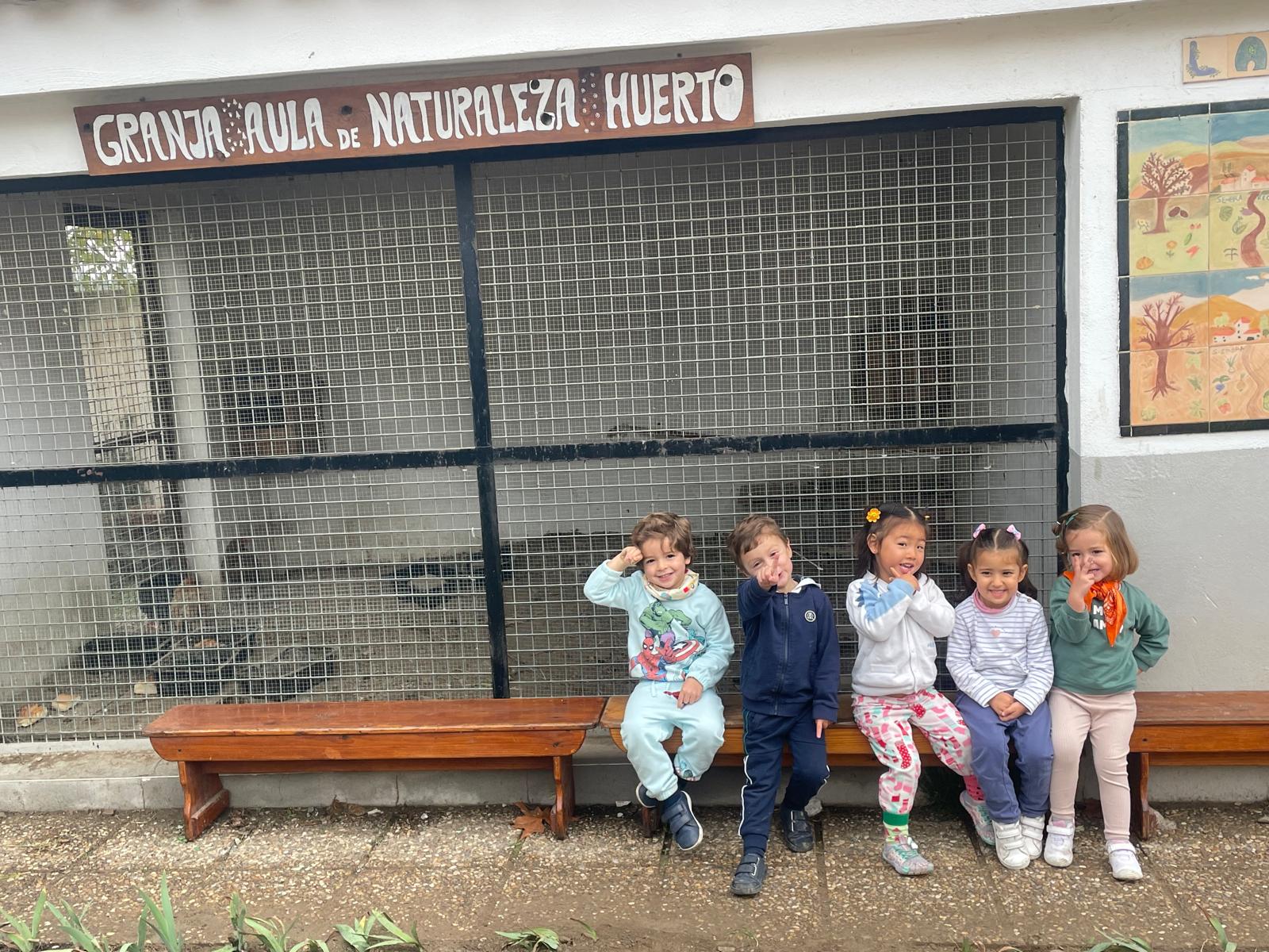 PHOTO-2024-11-27-14-08-09 13