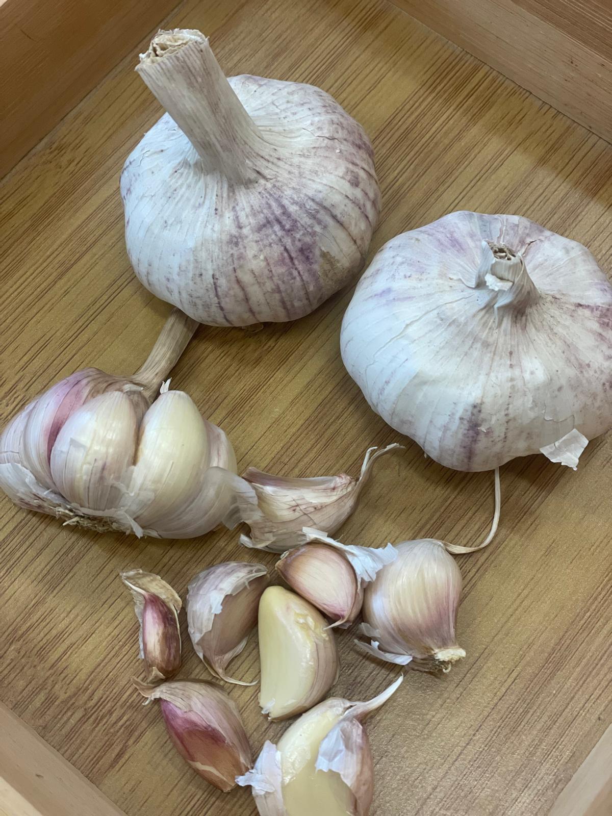 PHOTO-2024-11-27-14-08-09 2