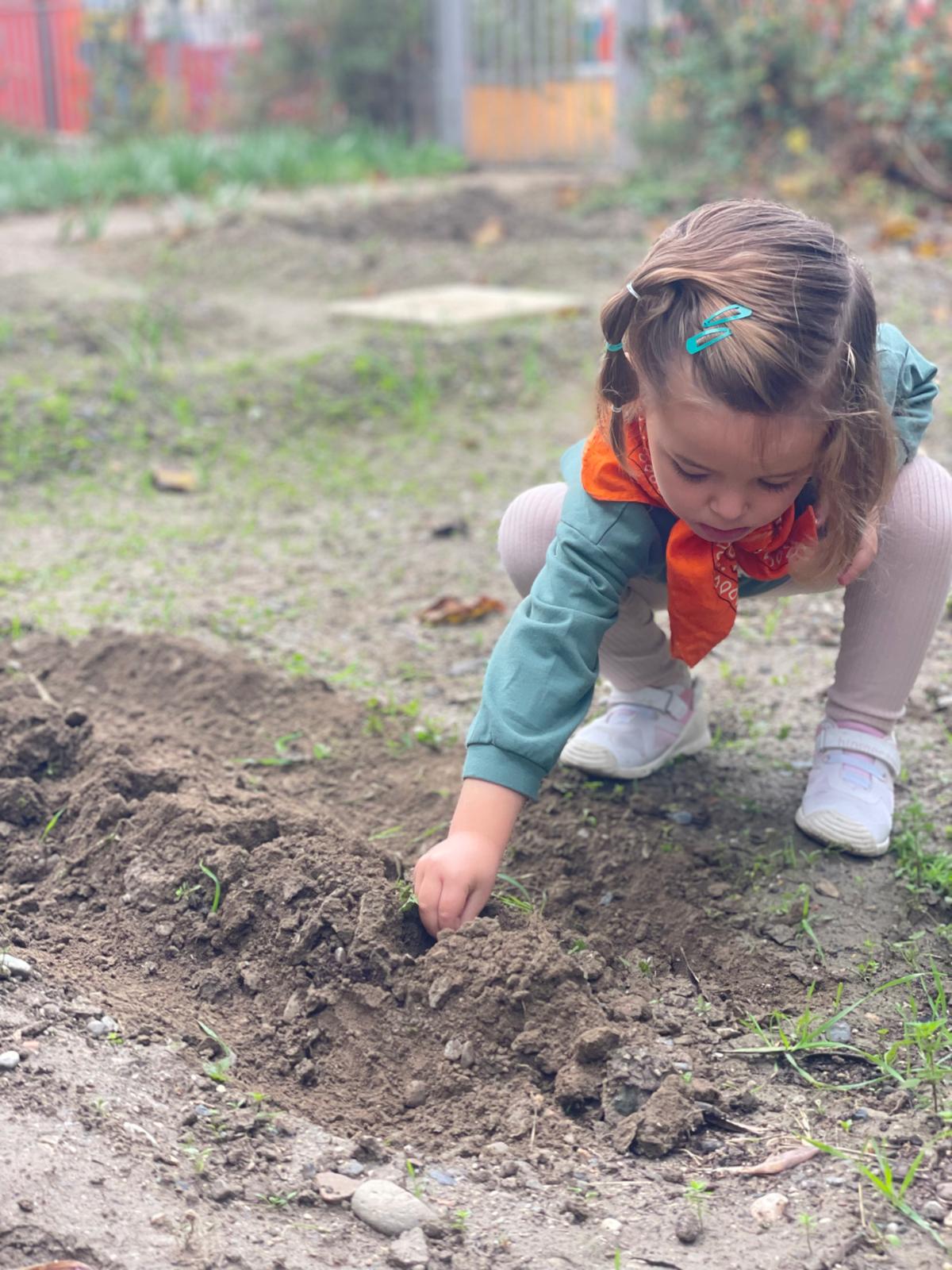 PHOTO-2024-11-27-14-08-09 4