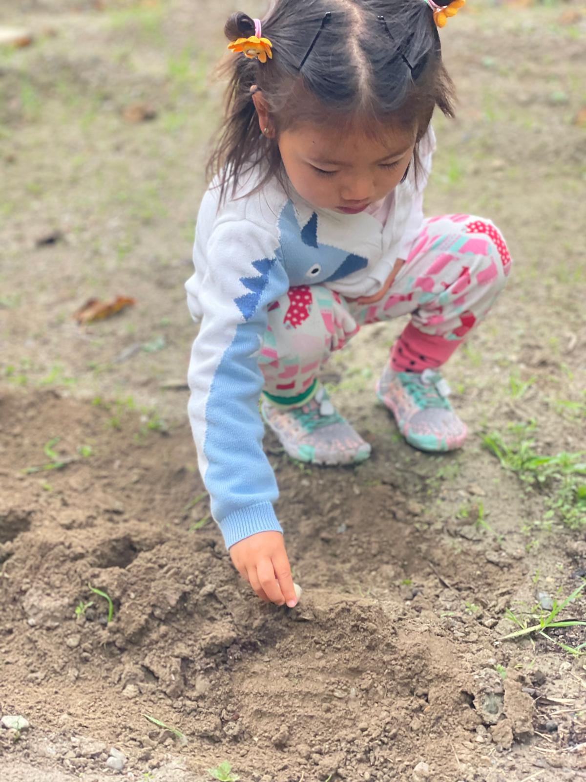 PHOTO-2024-11-27-14-08-09 5