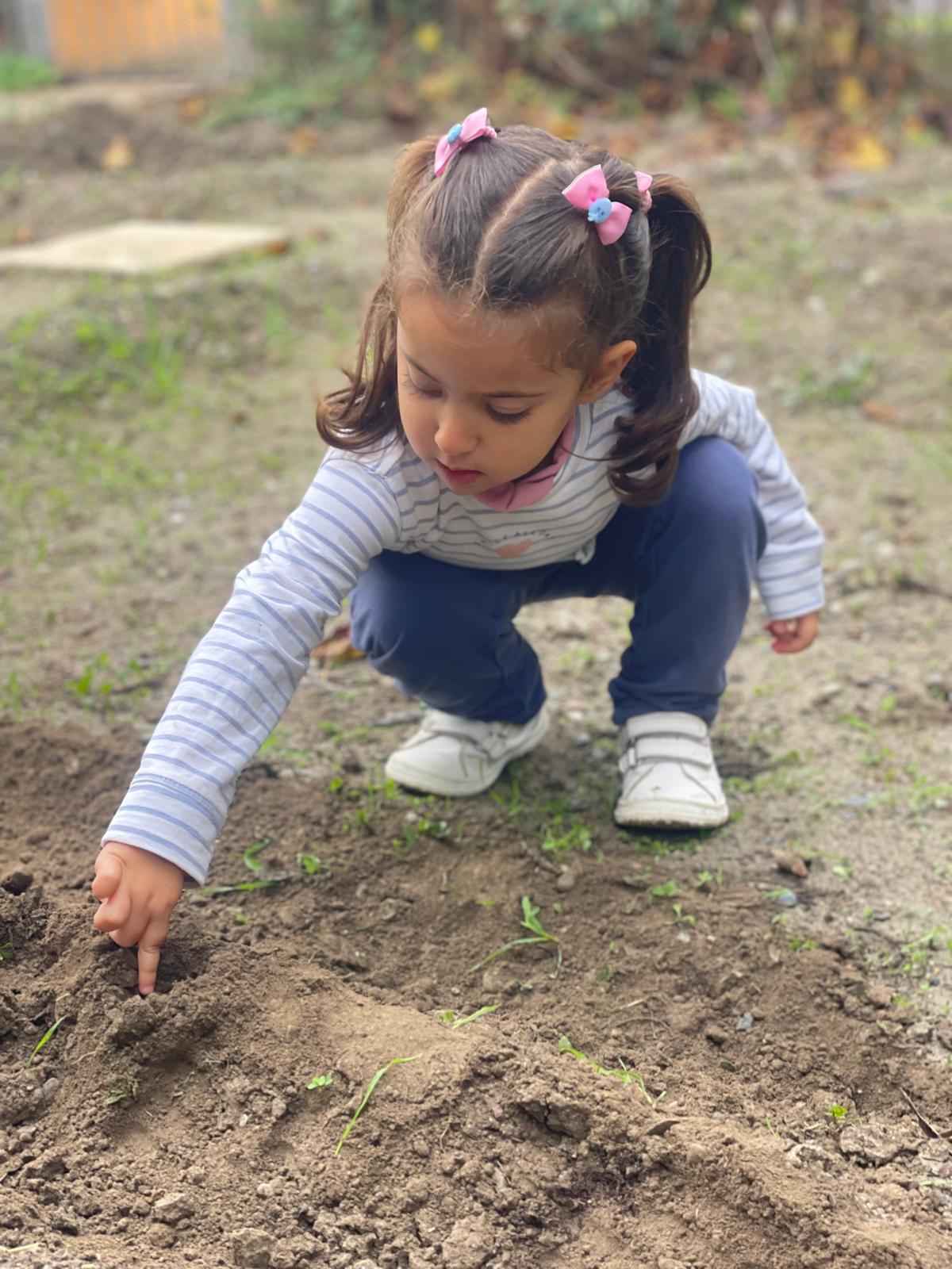 PHOTO-2024-11-27-14-08-09 6