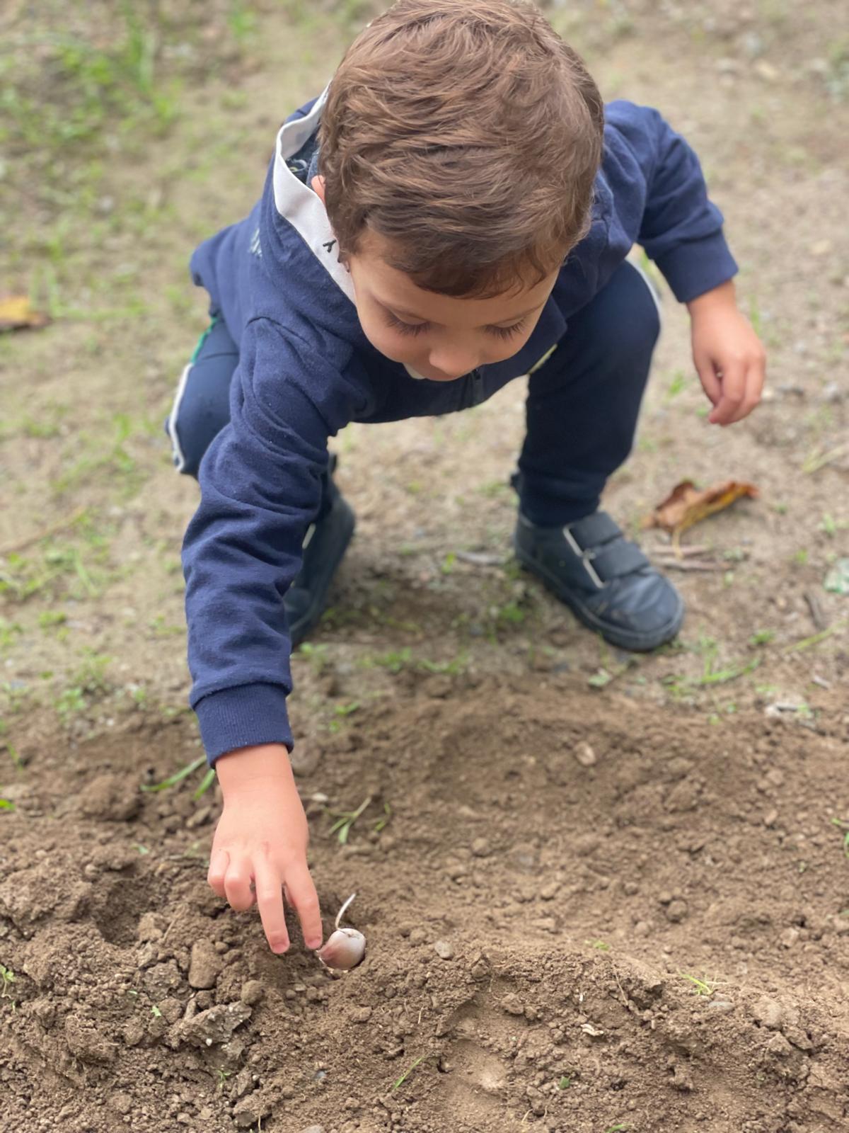 PHOTO-2024-11-27-14-08-09 8