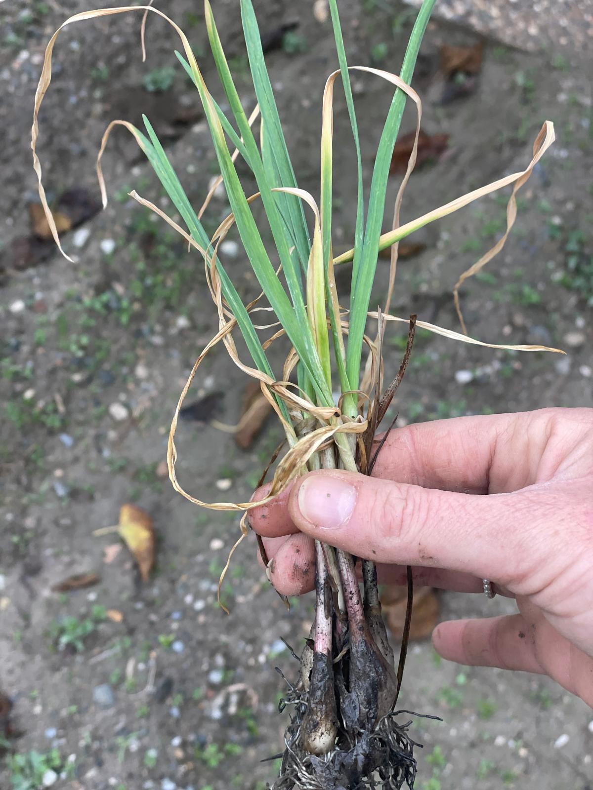 PHOTO-2024-11-27-14-08-09 9