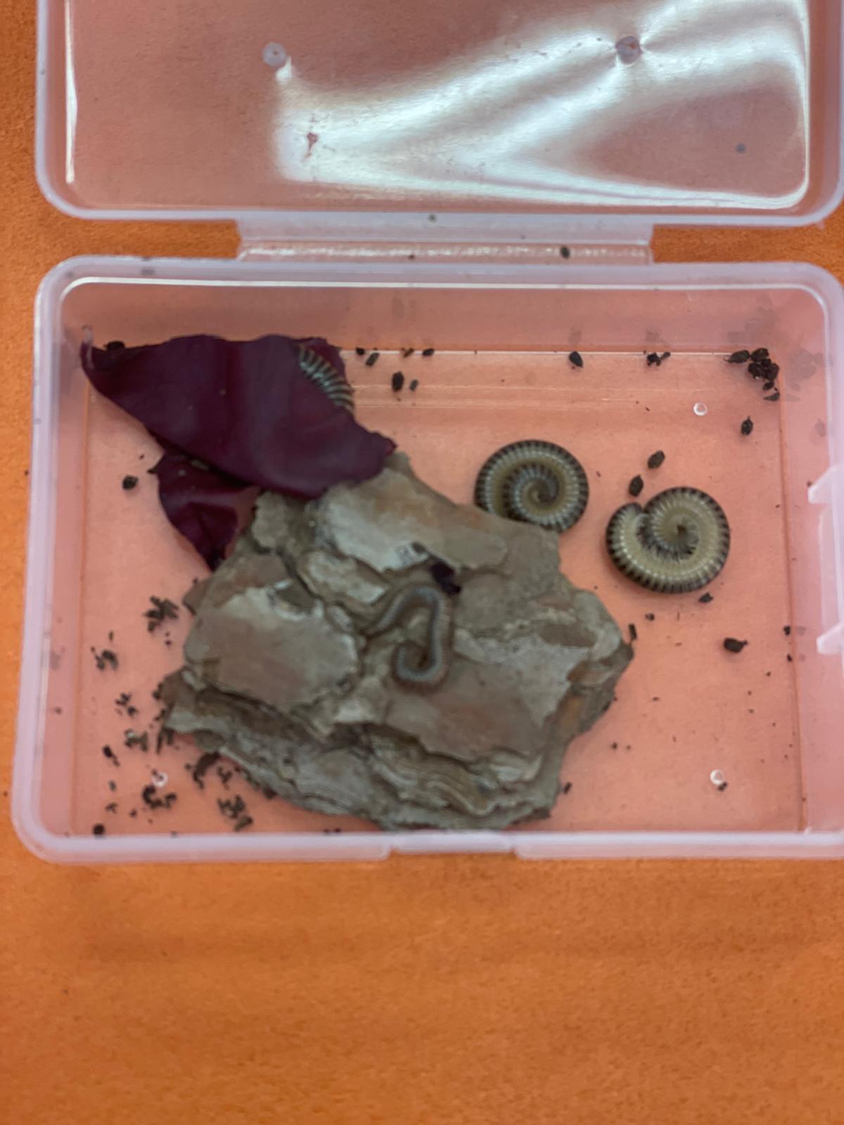 PHOTO-2024-11-28-11-15-06 5