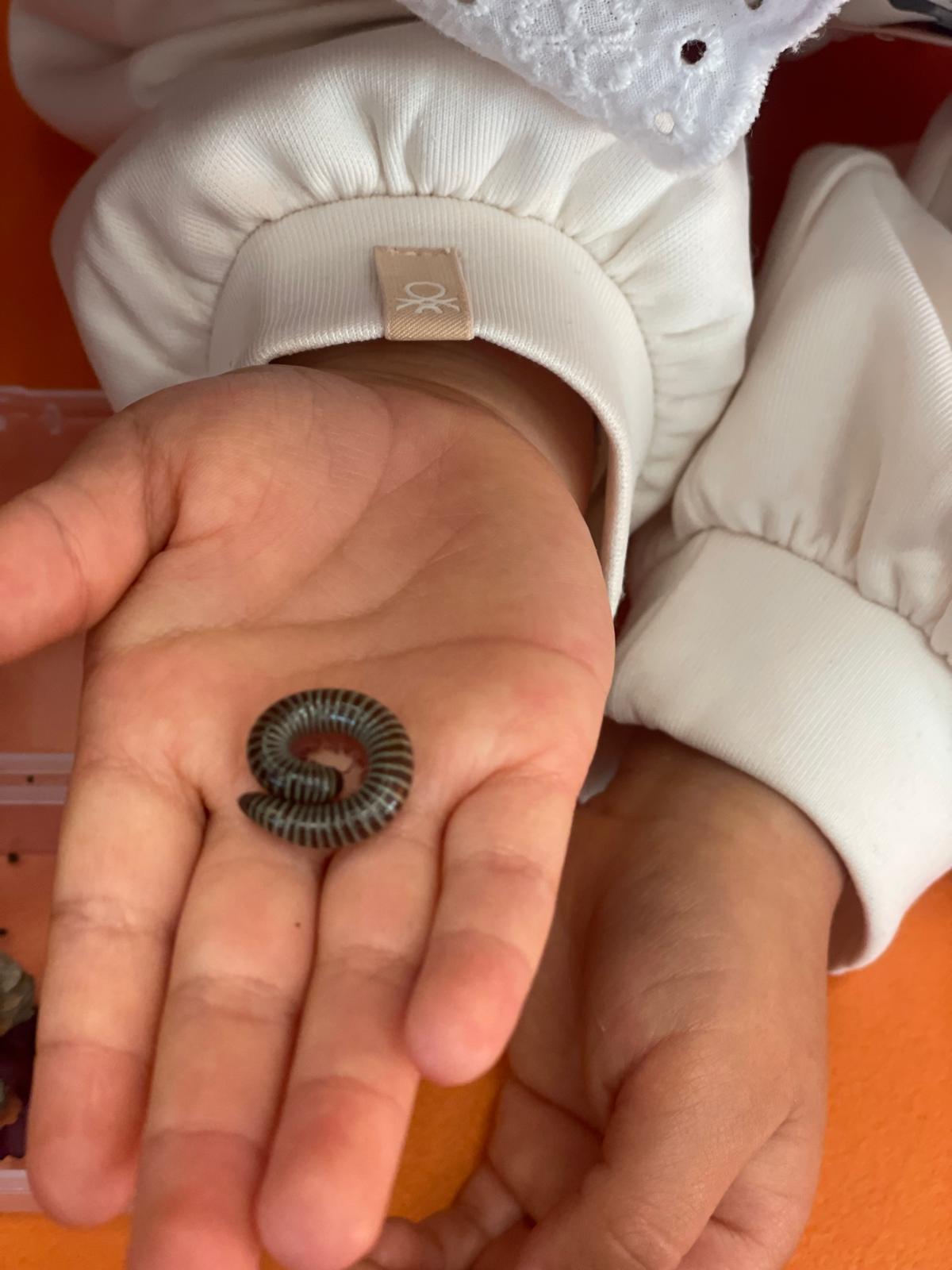 PHOTO-2024-11-28-11-15-06 6