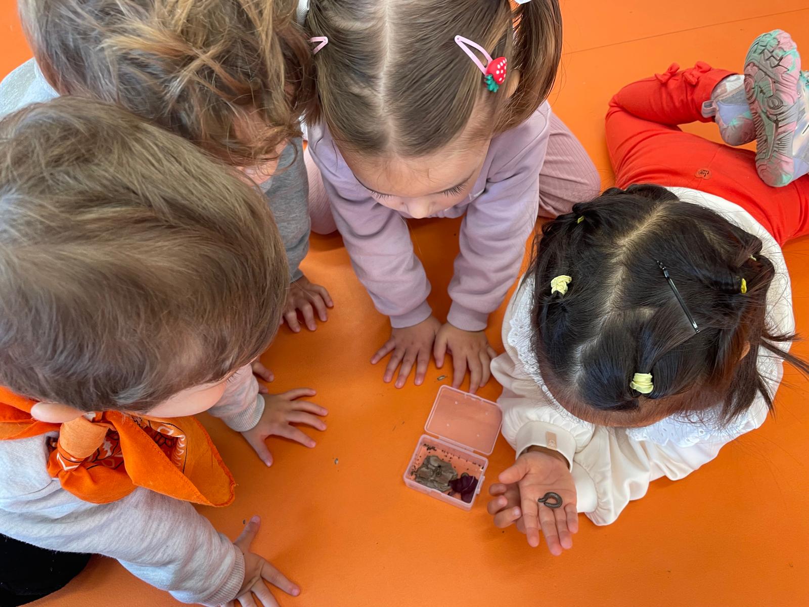 PHOTO-2024-11-28-11-15-06 7