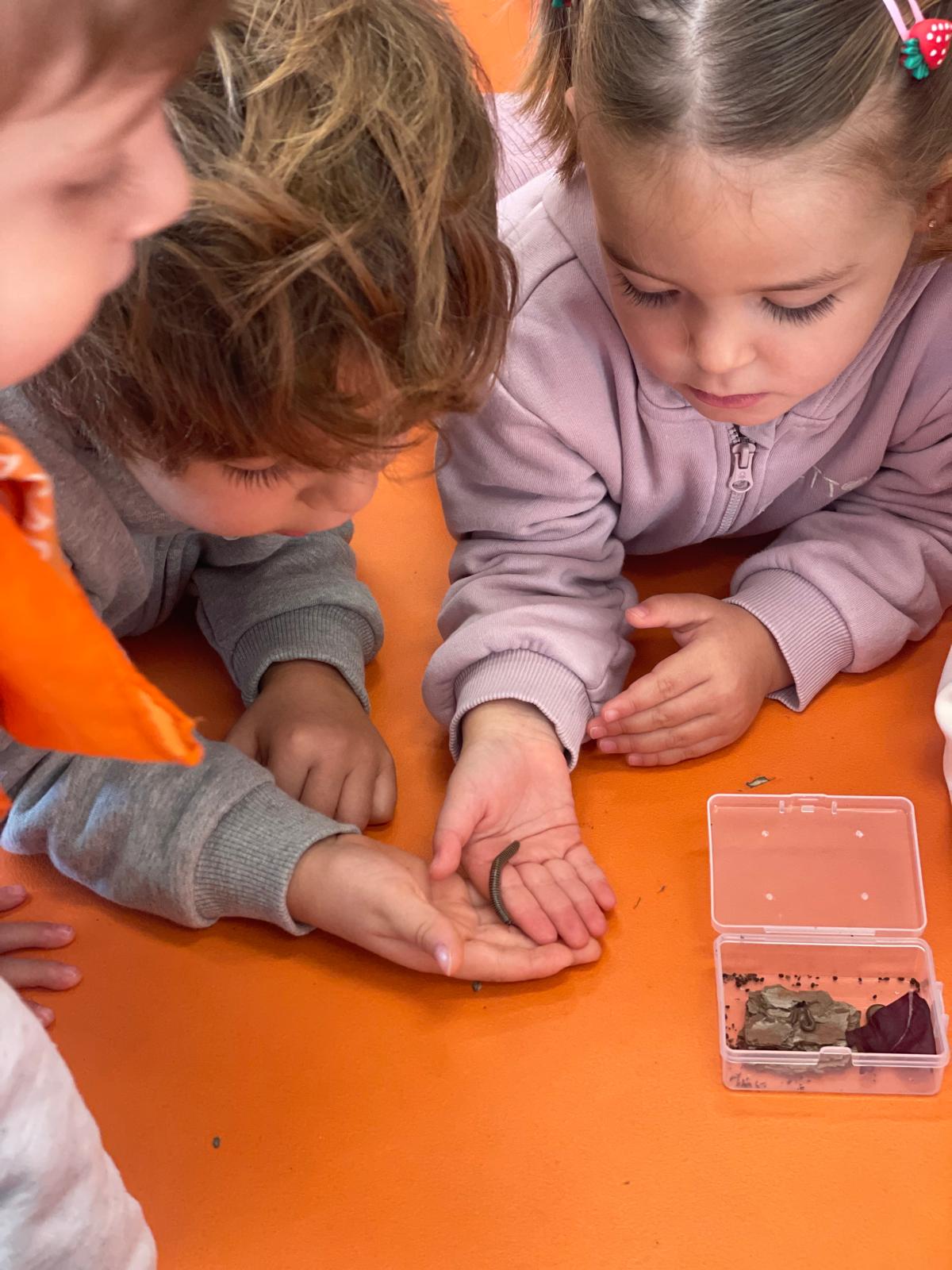 PHOTO-2024-11-28-11-15-06 8