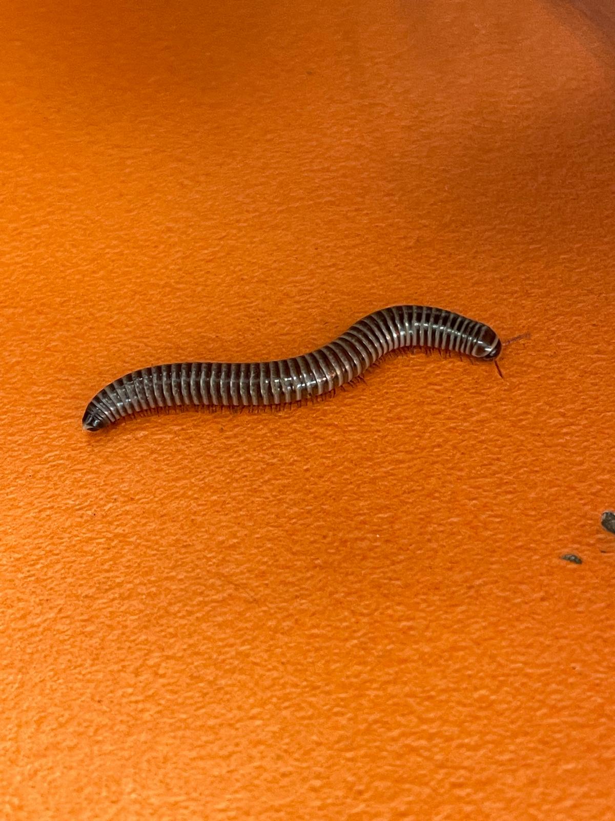 PHOTO-2024-11-28-11-15-06 9