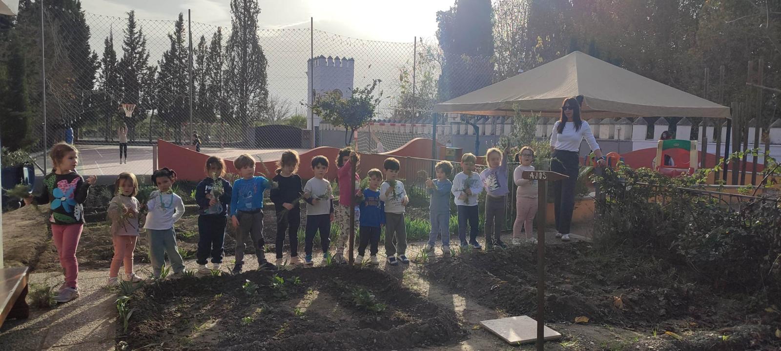 PHOTO-2024-11-29-20-29-33 7