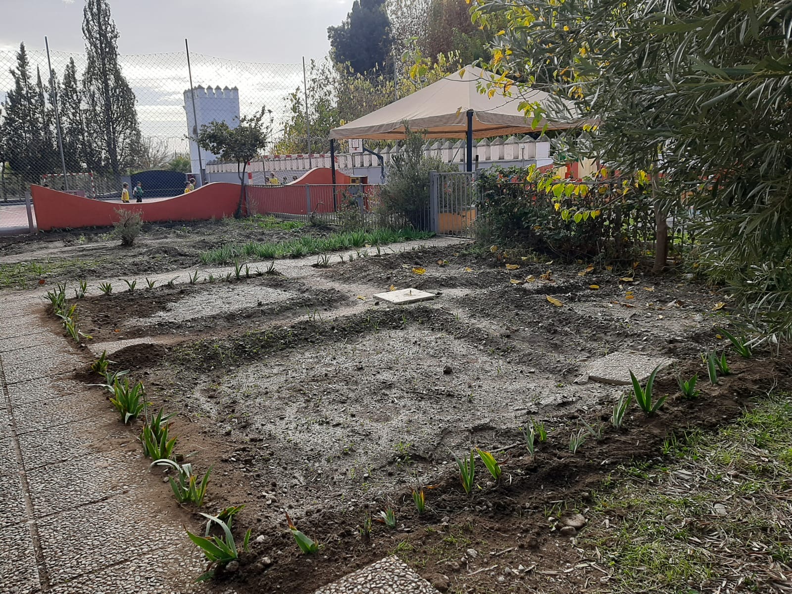 fdbda637-2063-4b3a-b098-b0bd06d64872