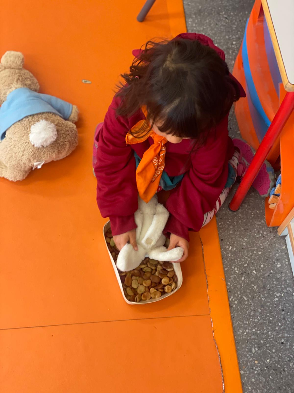 PHOTO-2025-01-08-11-49-30 11