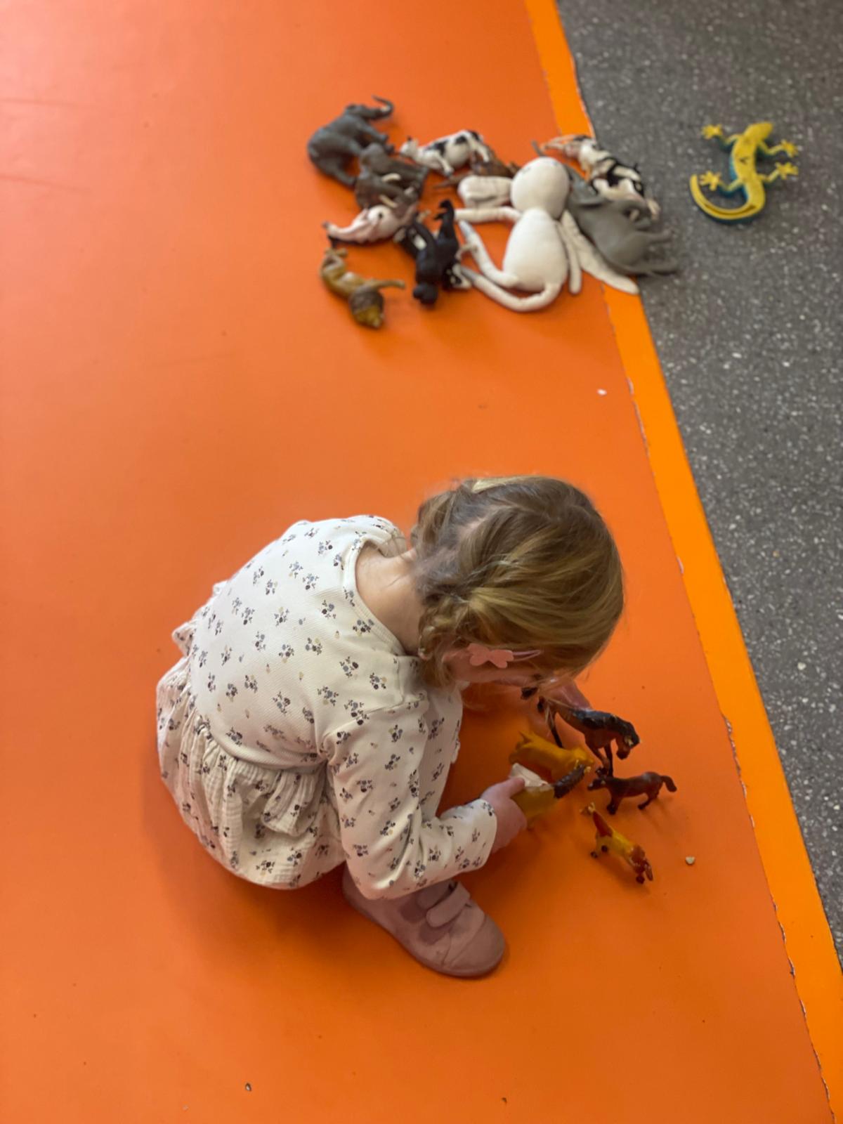 PHOTO-2025-01-08-11-49-30 19