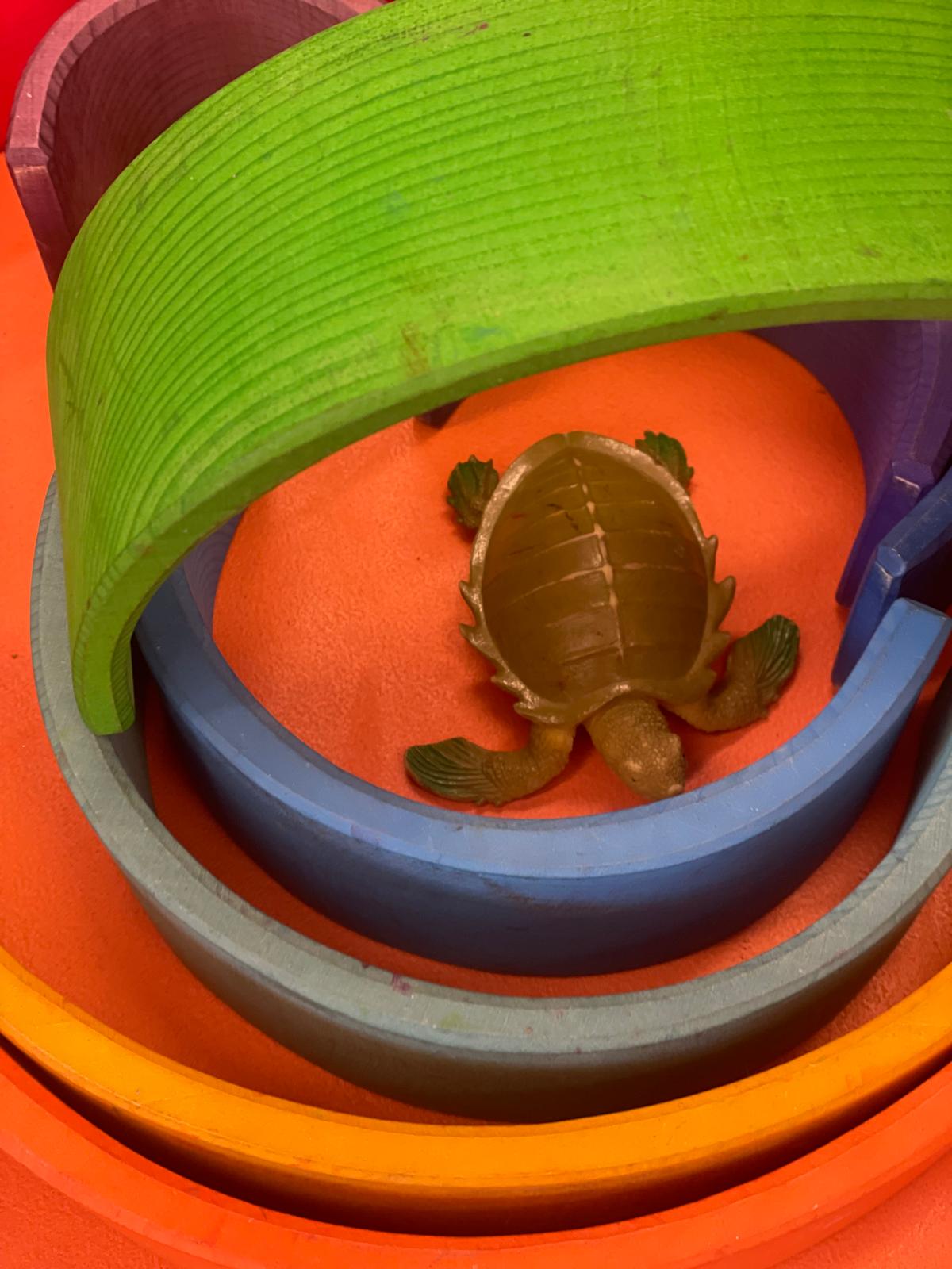 PHOTO-2025-01-08-11-49-30 20