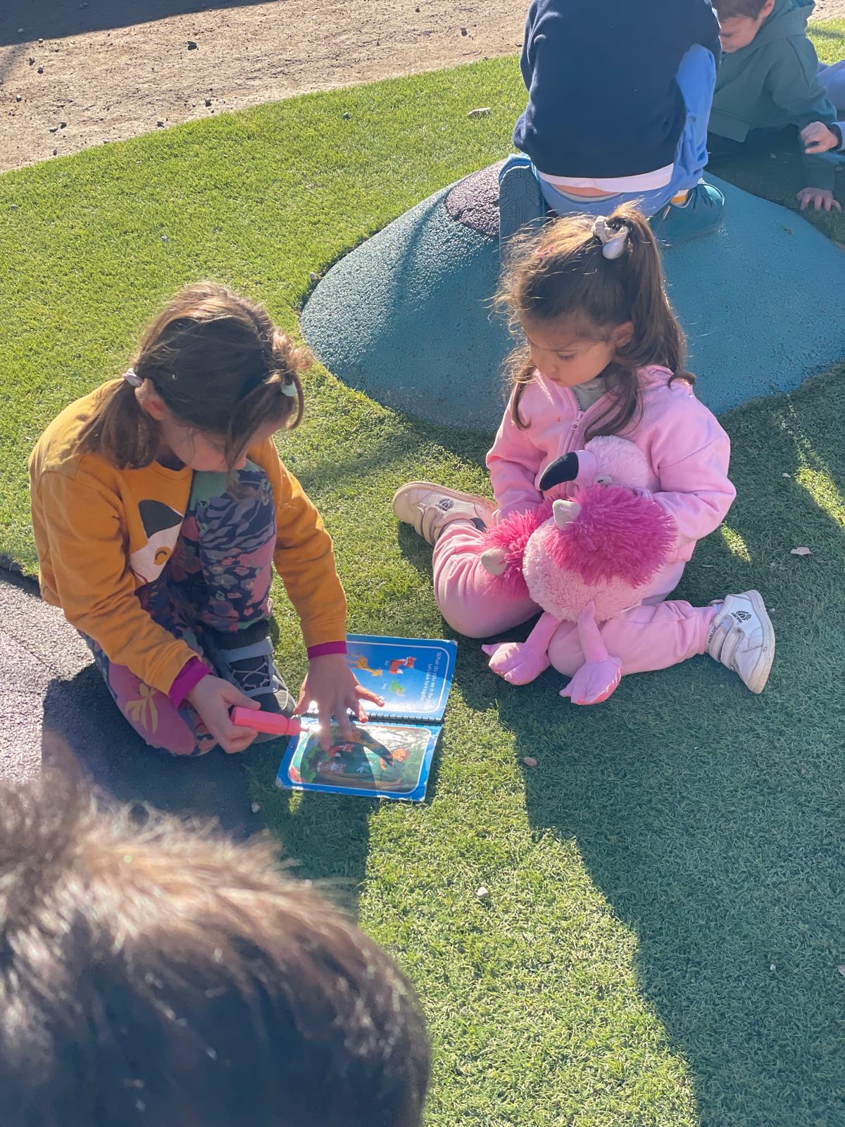 PHOTO-2025-01-10-17-55-10 10