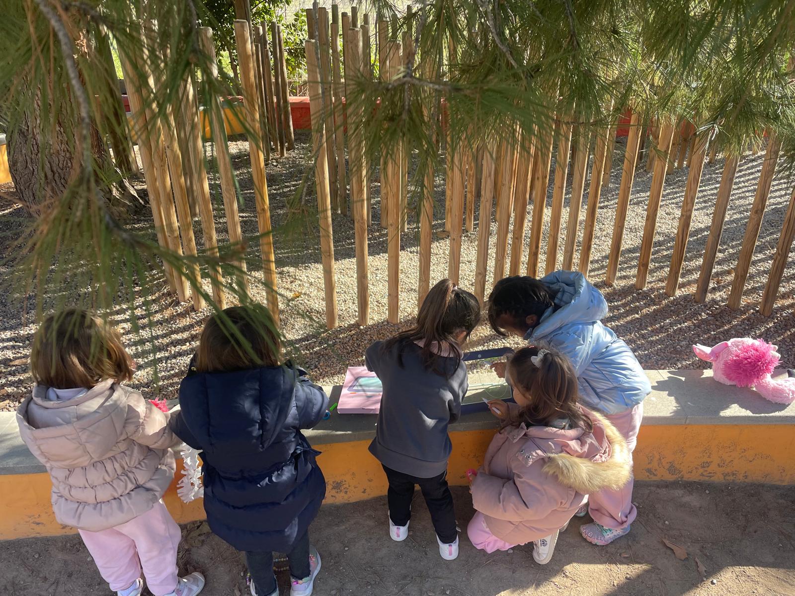 PHOTO-2025-01-10-17-55-10 2