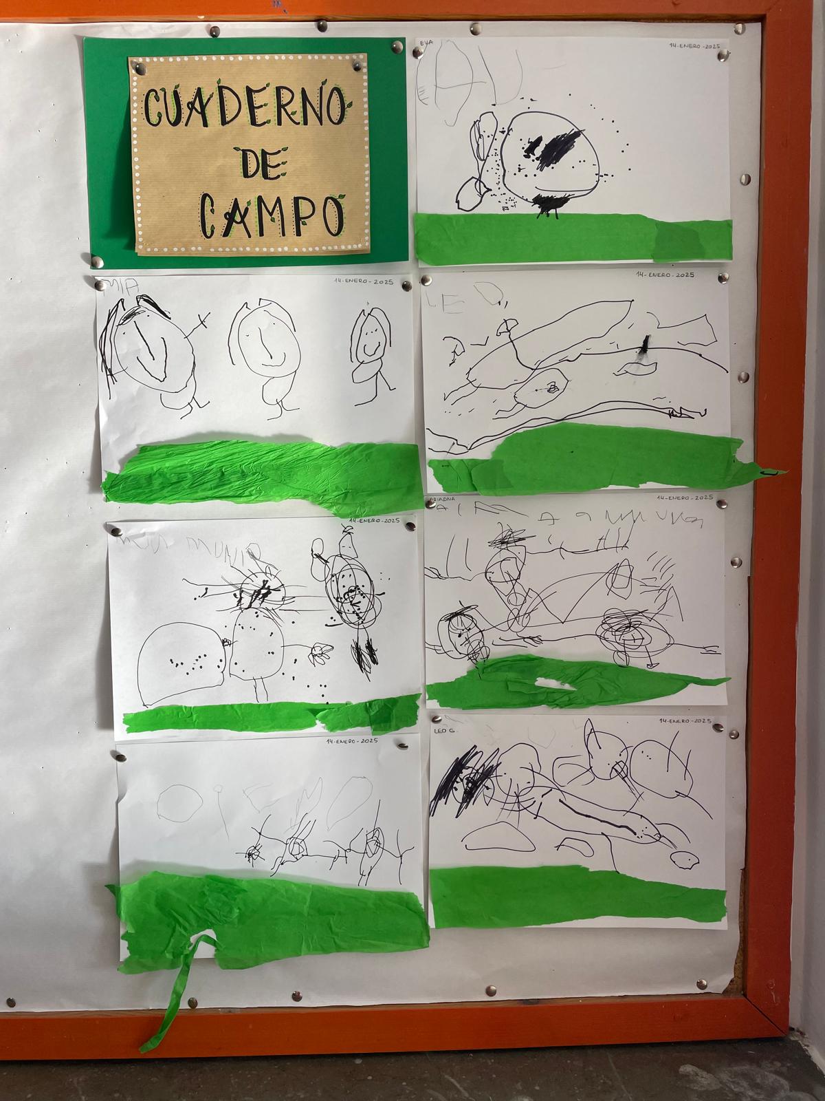 PHOTO-2025-01-14-19-24-46 3