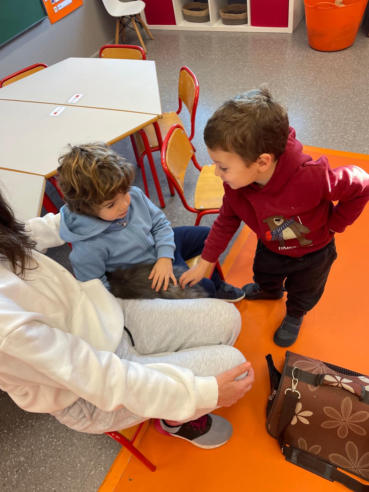 PHOTO-2025-01-15-15-55-00 10