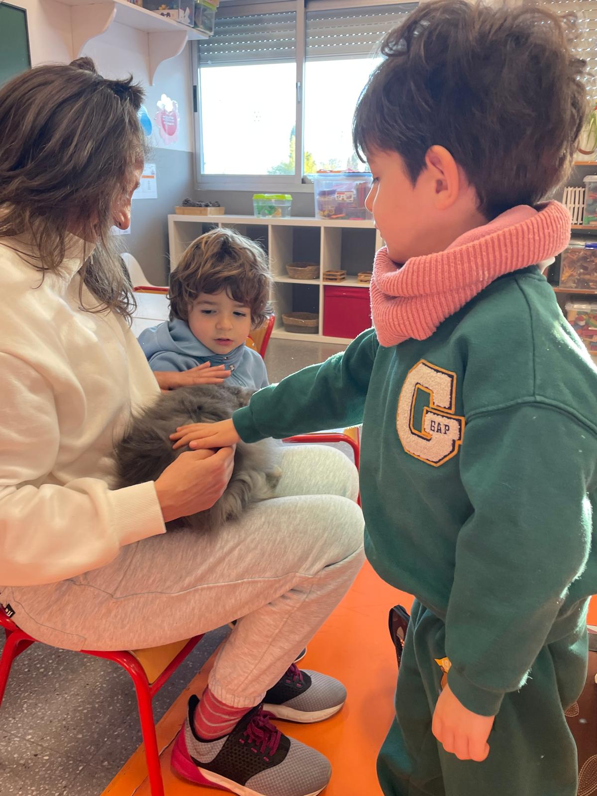 PHOTO-2025-01-15-15-55-00 12