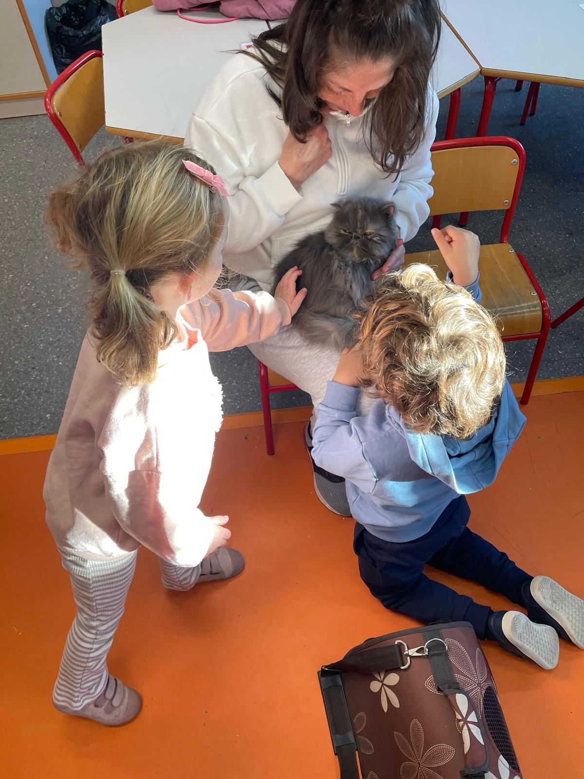 PHOTO-2025-01-15-15-55-00 13