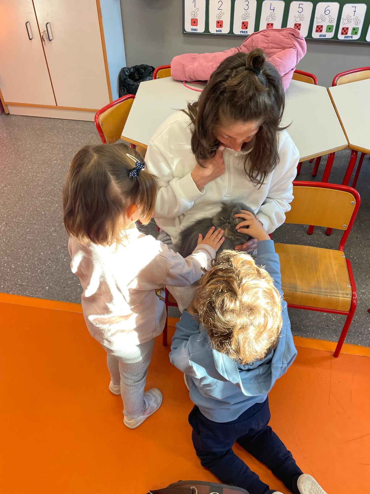 PHOTO-2025-01-15-15-55-00 14