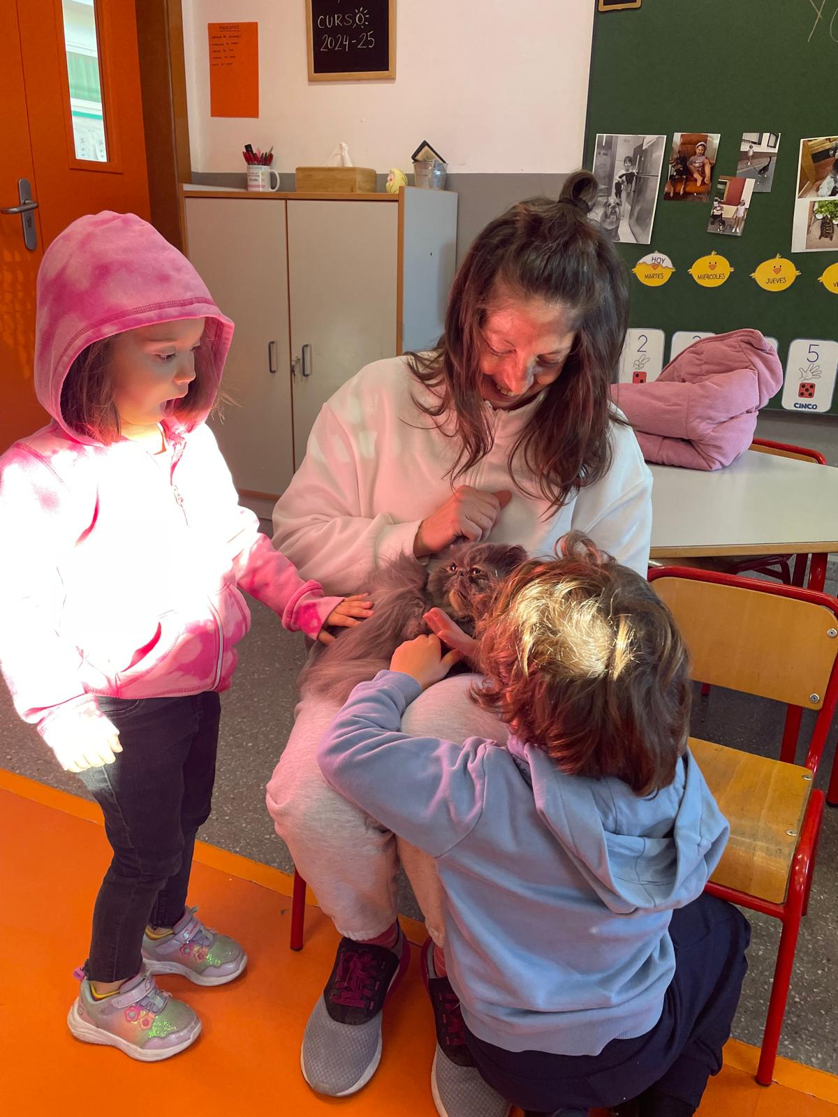 PHOTO-2025-01-15-15-55-00 16