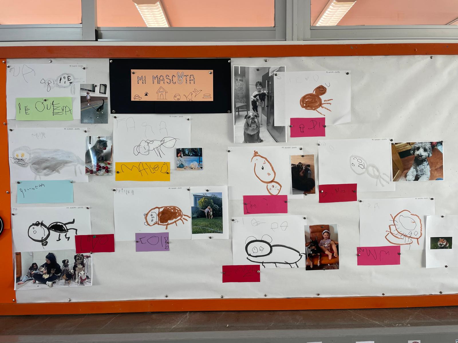 PHOTO-2025-01-16-21-56-11 21