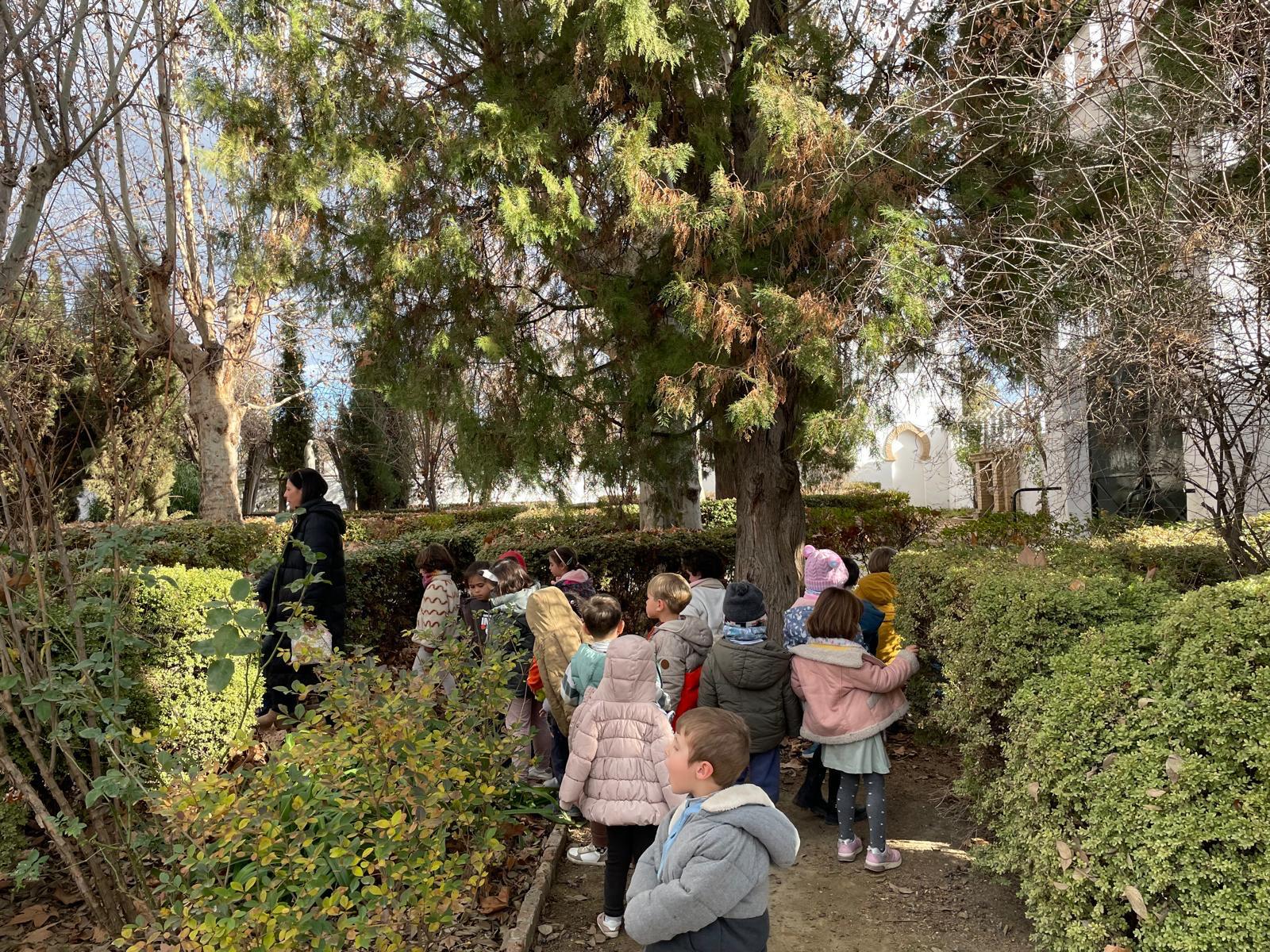 PHOTO-2025-01-19-17-38-40 12