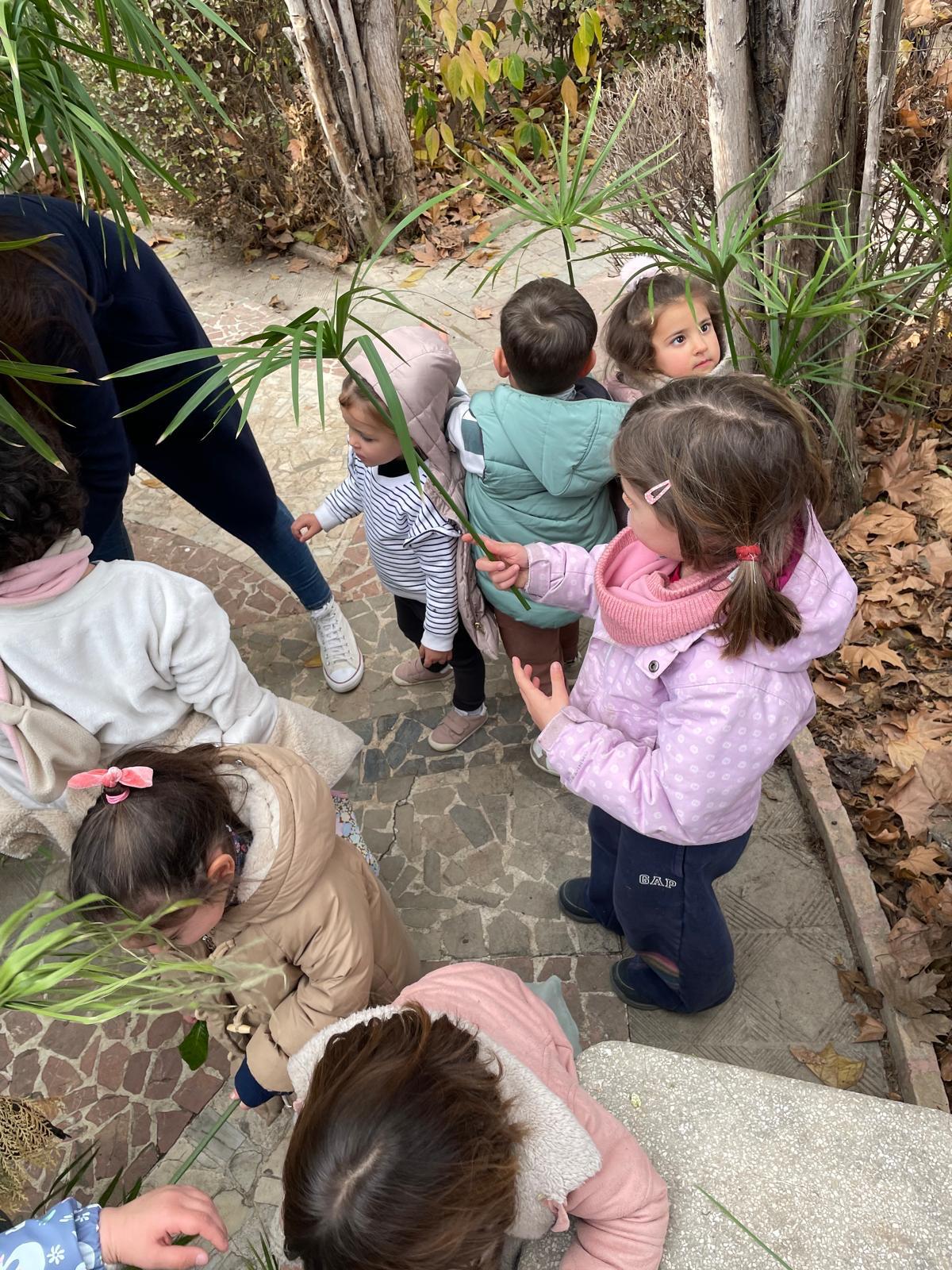 PHOTO-2025-01-19-17-38-40 13