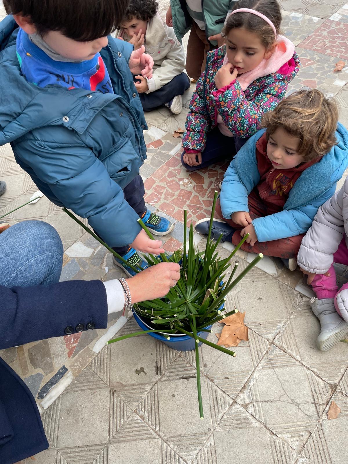 PHOTO-2025-01-19-17-38-40 15