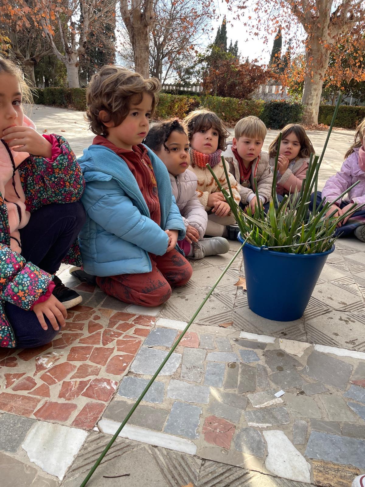 PHOTO-2025-01-19-17-38-40 16