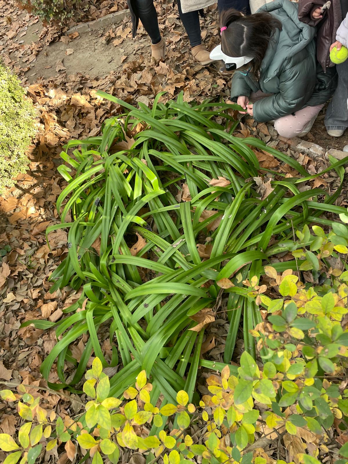 PHOTO-2025-01-19-17-38-40 2